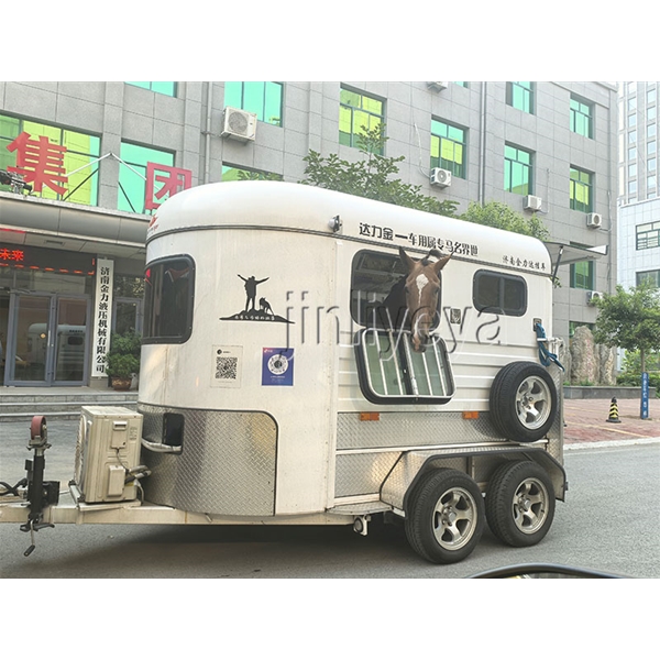 临沂运马车